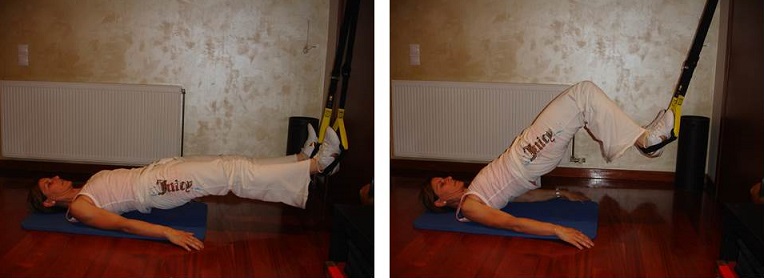 hamstrings