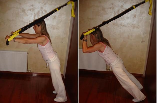 triceps