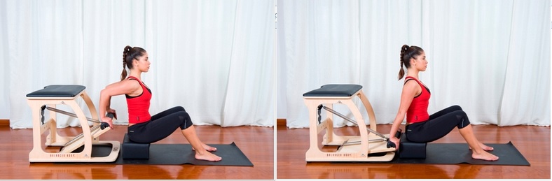 SEATED TRICEPS