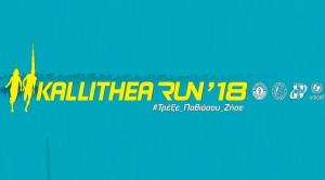 Kallithea run 2018